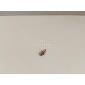 51477117532 Крепеж BMW X6 E71 (2008 - 2014)