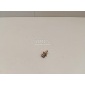 51477117532 Крепеж BMW X6 E71 (2008 - 2014)