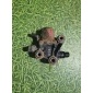81154076000 Подогреватель Adblue MAN TGX 2008
