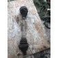 1K0407271BK Привод Skoda Octavia 2013