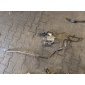 1K0815065AD volkswagen touran i webasto