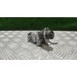 4D0905851D Замок зажигания Audi A4 B5 1996 4D0 905 851 D