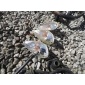 66530098 piaggio liberty 50 поворотник задняя