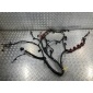 4L0971610AG Проводка двигателя Audi A6 4F/C6 2008