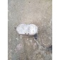 Отопление стояночные webasto toyota auris 150 25228205 132331fa d5zh