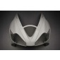 TDFAVDBT1001NP переднее обтекатель surowa triumph daytona 675 06 08