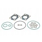 7135553 zest ремонтный системы common - rail delphi 7135 - 553