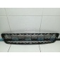 51117163957 Решетка в бампер центральная BMW X5 E70 (2007 - 2013)