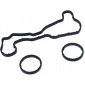 DRM0561S dr.motor уплотнители радиатора масляный