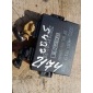 4B0919283 Блок управления парктрониками Audi A3 8L 2002