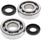 241010 ALL BALLS ŁOŻYSKA WAŁU KORBOWEGO KAWASAKI KX 250 8