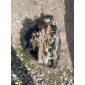 6T30 АКПП Chevrolet Aveo T300 2013 3GXS,