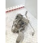 1683601900 КПП механическая (МКПП) Mercedes A W168 1999