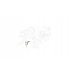 60409XC01A9P subaru ascent 19 2019 уплотнитель дверь 63526xc11a