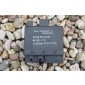 A2098200926 мерседес clk w209 блок keyless его