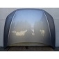8V0823029D капот крышка двигателя audi a3 s3 rs3 8v хэтчбек 12 - 20r