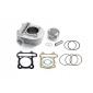 WZMOTO.PL 16MRL.22.07.2023.11731 цилиндр nicasilowy airsal sym евро mx fiddle symphony 60mm 4t