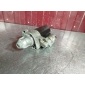 A0061516201 Стартер Mercedes C-class W204 2008 , 0001115072