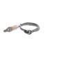 0258003810 SONDA LAMBDA BMW 3 E36 1.6 93 -