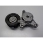 F3J121025010AB Ролик-натяжитель ручейкового ремня Chery Exceed VX 2021