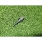 NSC000030 датчик температуры воздуха Land Rover Range Rover III (LM) 2002-2012 2003