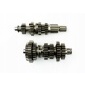 WZMOTO.PLAB15V1806 кпп набор cb250cc zs169 fmm