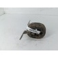 8D0253147E Кронштейн глушителя Audi A6 C5 (1997-2005) 2002