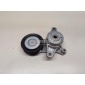 F4J201025010AB Ролик-натяжитель ручейкового ремня Chery Exceed TXL 2020