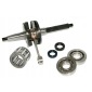 WAB954437649739523 новый вал коленчатый подшипники gilera stalker naked 50