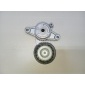 F4J201025010AB Ролик-натяжитель ручейкового ремня Chery Exceed TXL 2020