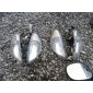 DD9733DD9SHJUJSLCSDC yamaha neos new 50 2t поворотник оригинальный . набор п л