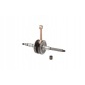 WZMOTO.PL 17MRL.22.07.2023.9713 вал коленчатый rms 2t 50 ccm minarelli horizontal yam