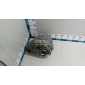 LR101747 Коробка раздаточная Land Rover Range Rover IV 2013