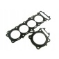 S410250001160 athena уплотнитель под головку kawasaki zx10r , z1000