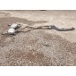 77998117123486 bmw e90 e92 выхлоп глушитель в сборе ванна пыльники 335d 7799811 7123486