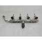 F4J161121010AB Рампа топливная Omoda C5 2022-