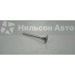 8972098762 Клапан выпускной ISUZU ELF, FORWARD 4HL1, 6HH1, 6HL1 ISUZU ELF, FORWARD 8-97209-876-2/8-97209-876-3/8-97209-876-1/8-97209-876-0/8-94395-883-0/8-94395-883-2