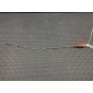 06F115611F Щуп двигателя Volkswagen Passat B6 2005