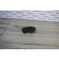 8P3807394 Кронштейн бампера (крепление) AUDI A3 8P 2007 , , A