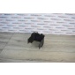1K0915335C Крышка боковая АКБ SKODA Octavia A5 2006 , , 1K0915335A, , 3C0915335