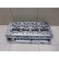 504049268 Головка блока Iveco Ducato 244 (+Elabuga) (2002 - 2006)