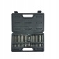 Комплект bitów proline 10747 ribe torx 42 элементы