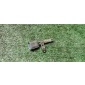 7L0927807B датчик abs VW Touareg 2002-2010 2006