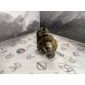 1222169GA0 Коленвал Suzuki Swift HT81S 2007 12221-69GA0
