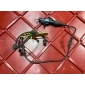 C2D3410 датчик ABS Jaguar XK X150 [рестайлинг] 2013 ,C2D47189,8W832C204BA