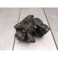 06H121026BF Корпус термостата Audi A3 8P/8PA [2-й рестайлинг] 2009