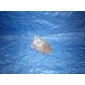 9161141 Кронштейн опоры двигателя Volvo S80 I (1998—2003) TS TH KV