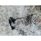 059130147p Крепление ТНВД Audi A6 2011