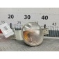 7165861 Указатель поворота (поворотник) левый Mini Hatch 1 R50/R52/R53 (2000-2006) 2007 ,6313