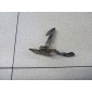 7110008B00 Крючок капота Ssang Yong Rexton I (2001 - 2006)